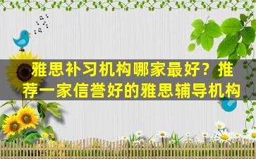 雅思补习机构哪家最好？推荐一家信誉好的雅思辅导机构