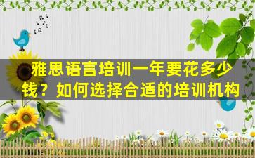 雅思语言培训一年要花多少钱？如何选择合适的培训机构