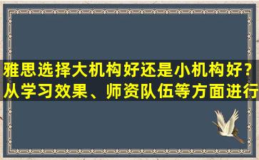 雅思选择大机构好还是小机构好？从学习效果、师资队伍等方面进行分析