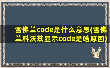 雪佛兰code是什么意思(雪佛兰科沃兹显示code是啥原因)