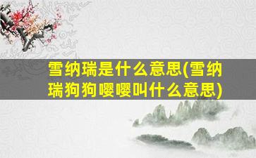 雪纳瑞是什么意思(雪纳瑞狗狗嘤嘤叫什么意思)