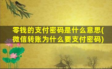 零钱的支付密码是什么意思(微信转账为什么要支付密码)