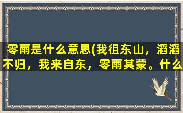 零雨是什么意思(我徂东山，滔滔不归，我来自东，零雨其蒙。什么意思)