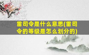 雷司令是什么意思(雷司令的等级是怎么划分的)