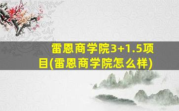 雷恩商学院3+1.5项目(雷恩商学院怎么样)