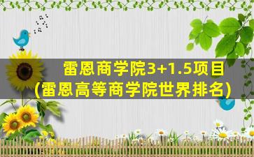 雷恩商学院3+1.5项目(雷恩高等商学院世界排名)