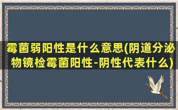 霉菌弱阳性是什么意思(阴道分泌物镜检霉菌阳性-阴性代表什么)