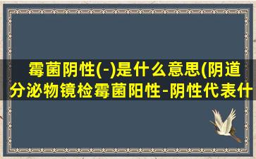 霉菌阴性(-)是什么意思(阴道分泌物镜检霉菌阳性-阴性代表什么)