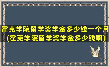 霍克学院留学奖学金多少钱一个月(霍克学院留学奖学金多少钱啊)