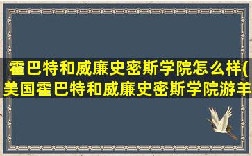 霍巴特和威廉史密斯学院怎么样(美国霍巴特和威廉史密斯学院游羊)