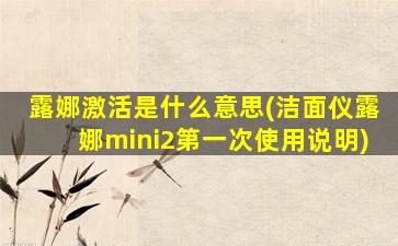 露娜激活是什么意思(洁面仪露娜mini2第一次使用说明)