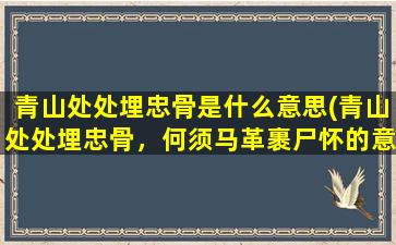 青山处处埋忠骨是什么意思(青山处处埋忠骨，何须马革裹尸怀的意思是和历史背景)