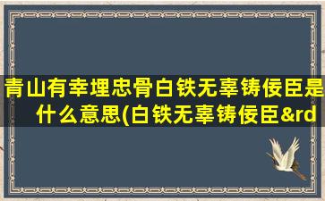 青山有幸埋忠骨白铁无辜铸佞臣是什么意思(白铁无辜铸佞臣”是什么意思)