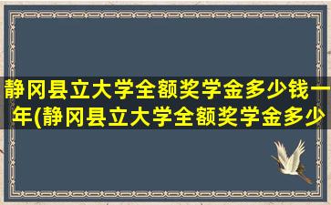 静冈县立大学全额奖学金多少钱一年(静冈县立大学全额奖学金多少钱啊)