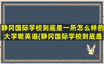 静冈国际学校到底是一所怎么样的大学呢英语(静冈国际学校到底是一所怎么样的大学呢英文)