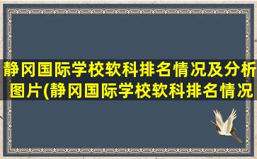 静冈国际学校软科排名情况及分析图片(静冈国际学校软科排名情况及分析图)