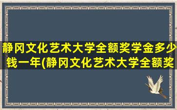 静冈文化艺术大学全额奖学金多少钱一年(静冈文化艺术大学全额奖学金多少钱啊)