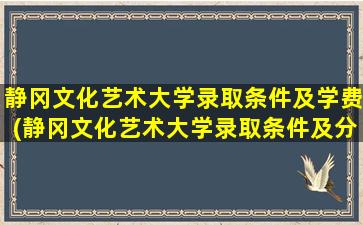 静冈文化艺术大学录取条件及学费(静冈文化艺术大学录取条件及分数线)