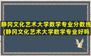 静冈文化艺术大学数学专业分数线(静冈文化艺术大学数学专业好吗)