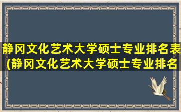 静冈文化艺术大学硕士专业排名表(静冈文化艺术大学硕士专业排名第几)