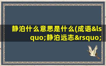 静泊什么意思是什么(成语‘静泊远志’是什么意思)