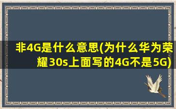 非4G是什么意思(为什么华为荣耀30s上面写的4G不是5G)