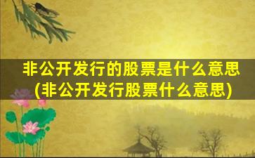 非公开发行的股票是什么意思(非公开发行股票什么意思)