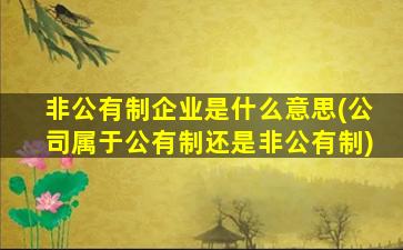 非公有制企业是什么意思(公司属于公有制还是非公有制)