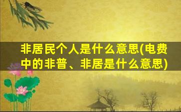 非居民个人是什么意思(电费中的非普、非居是什么意思)