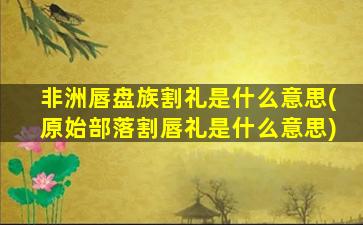 非洲唇盘族割礼是什么意思(原始部落割唇礼是什么意思)