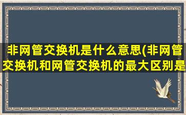 非网管交换机是什么意思(非网管交换机和网管交换机的最大区别是什么)