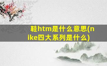 鞋htm是什么意思(nike四大系列是什么)