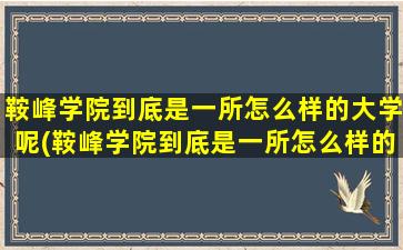 鞍峰学院到底是一所怎么样的大学呢(鞍峰学院到底是一所怎么样的大学呢英语)