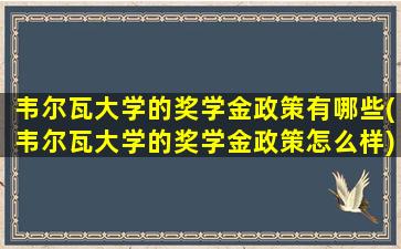 韦尔瓦大学的奖学金政策有哪些(韦尔瓦大学的奖学金政策怎么样)