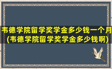 韦德学院留学奖学金多少钱一个月(韦德学院留学奖学金多少钱啊)