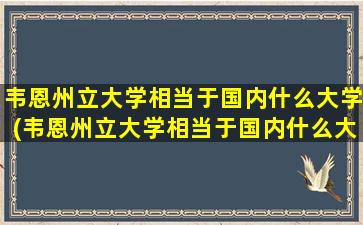 韦恩州立大学相当于国内什么大学(韦恩州立大学相当于国内什么大学)