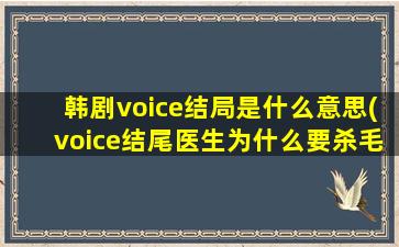 韩剧voice结局是什么意思(voice结尾医生为什么要杀毛泰久)