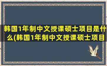 韩国1年制中文授课硕士项目是什么(韩国1年制中文授课硕士项目怎么样)