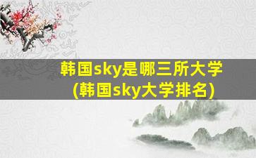 韩国sky是哪三所大学(韩国sky大学排名)