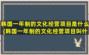 韩国一年制的文化经营项目是什么(韩国一年制的文化经营项目叫什么)