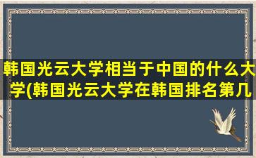 韩国光云大学相当于中国的什么大学(韩国光云大学在韩国排名第几)