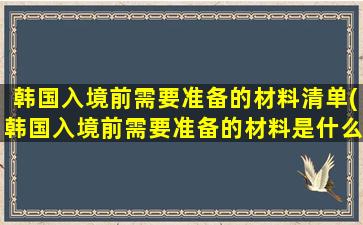 韩国入境前需要准备的材料清单(韩国入境前需要准备的材料是什么)