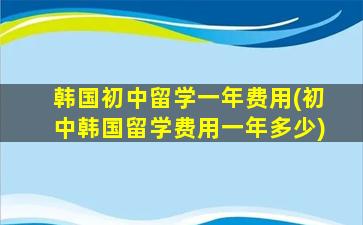 韩国初中留学一年费用(初中韩国留学费用一年多少)