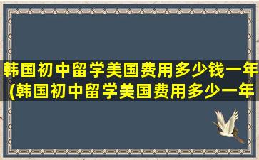 韩国初中留学美国费用多少钱一年(韩国初中留学美国费用多少一年)