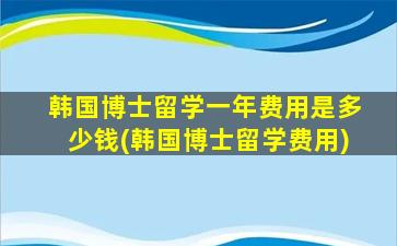 韩国博士留学一年费用是多少钱(韩国博士留学费用)