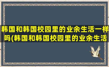 韩国和韩国校园里的业余生活一样吗(韩国和韩国校园里的业余生活的区别)