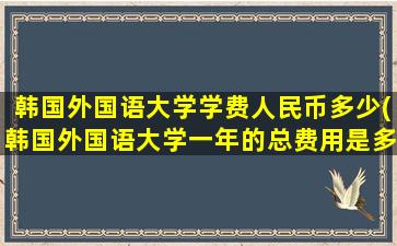 韩国外国语大学学费人民币多少(韩国外国语大学一年的总费用是多少)