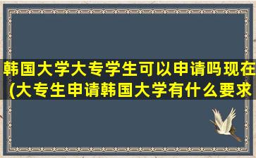 韩国大学大专学生可以申请吗现在(大专生申请韩国大学有什么要求-)