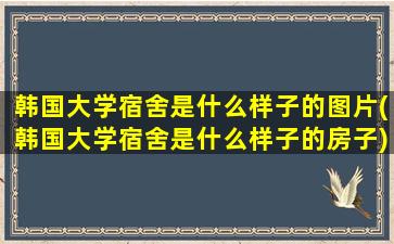 韩国大学宿舍是什么样子的图片(韩国大学宿舍是什么样子的房子)