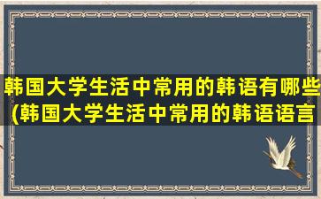 韩国大学生活中常用的韩语有哪些(韩国大学生活中常用的韩语语言)